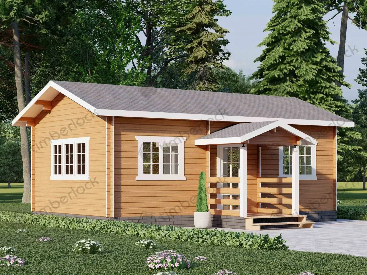 Дачный дом с крыльцом Д-4575 