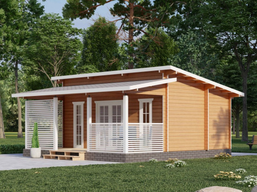 Дачный дом Д-658 