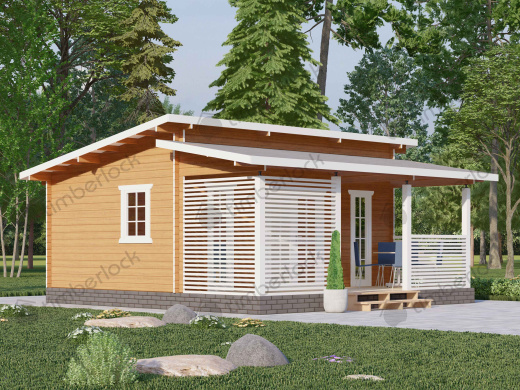 Дачный дом Д-658 