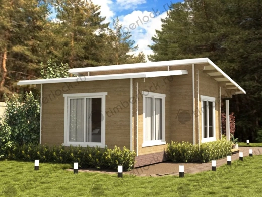 Дачный дом Д-755 